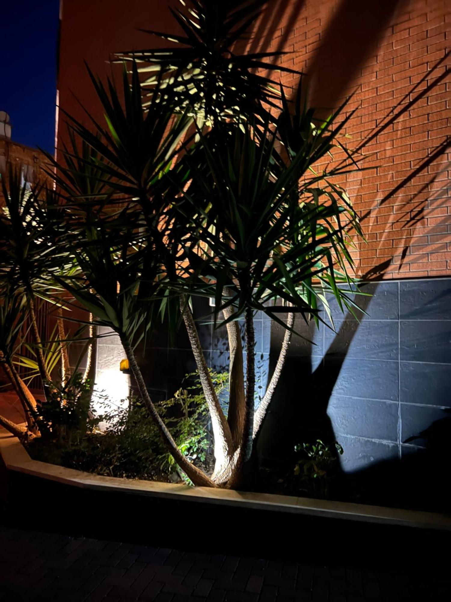 Nemis Apartments In The Centre Of Tirana Four Free Parking Экстерьер фото